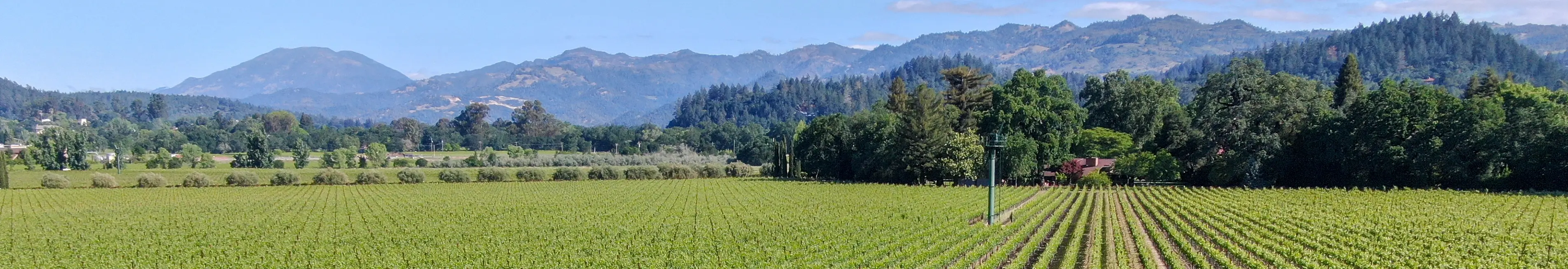 Napa County Medi-Cal Assistance