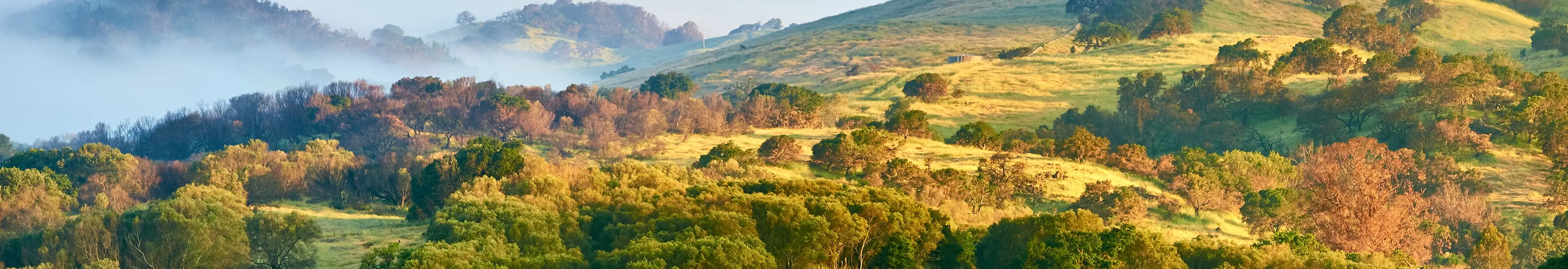 Placer County Medi-Cal Assistance