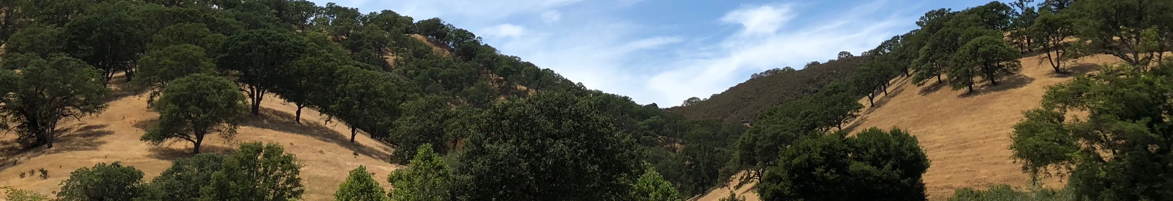 Sierra County Medi-Cal Assistance