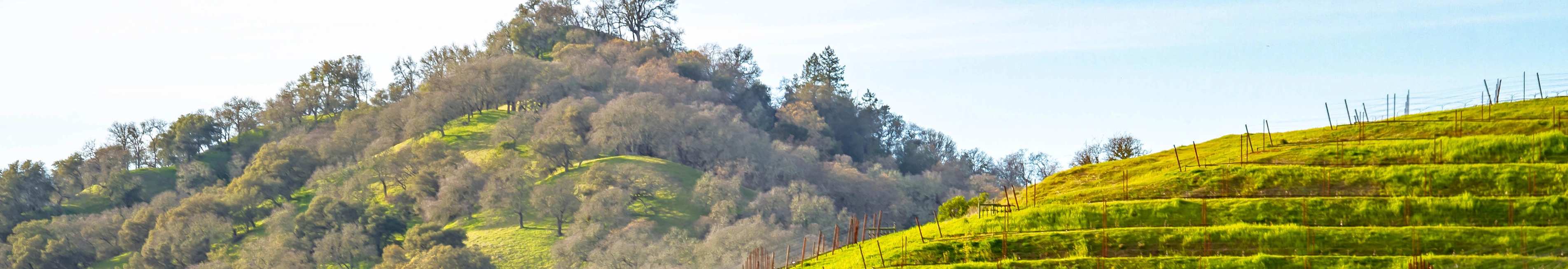 Trinity County Medi-Cal Assistance
