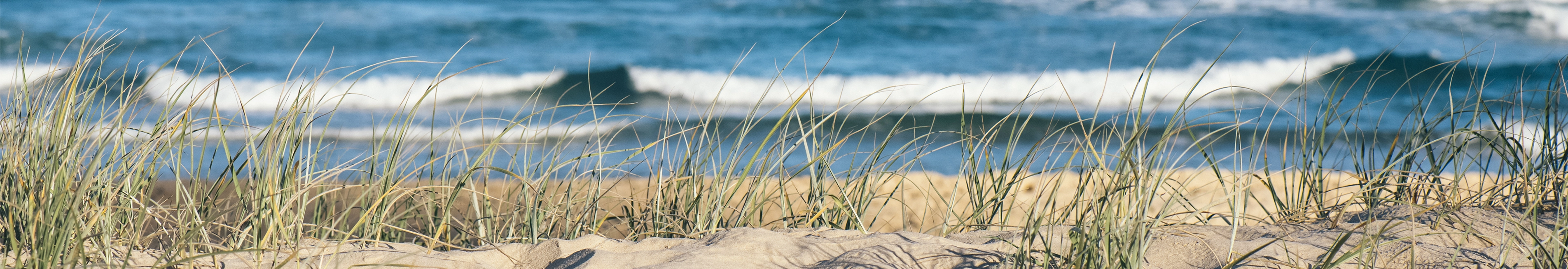Ventura County Medi-Cal Assistance